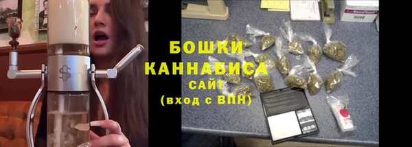 дживик Богородицк