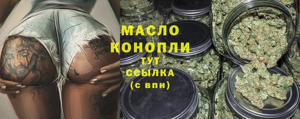 дживик Богородицк