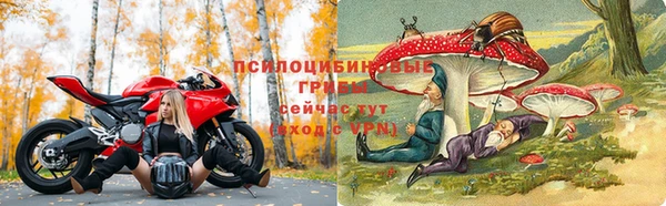 дурь Богородск