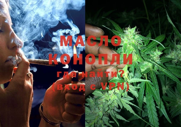 дживик Богородицк