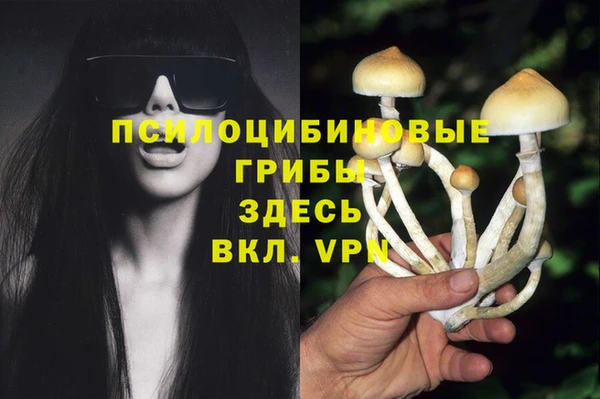 дурь Богородск