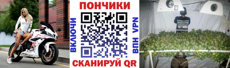 как найти наркотики Люберцы Марихуана план